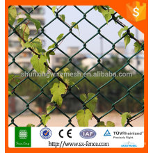 Segurança PVC Revestido Galvanizado Cadeia Link Fence (Fábrica Exportador)